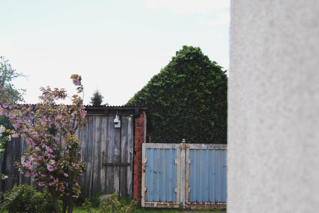 Ferienhaus Erna Doberlug-Kirchhain エクステリア 写真