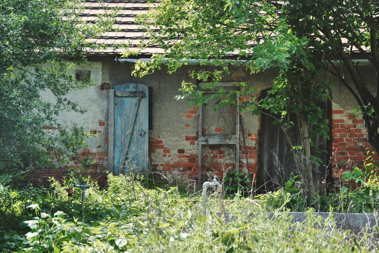 Ferienhaus Erna Doberlug-Kirchhain エクステリア 写真