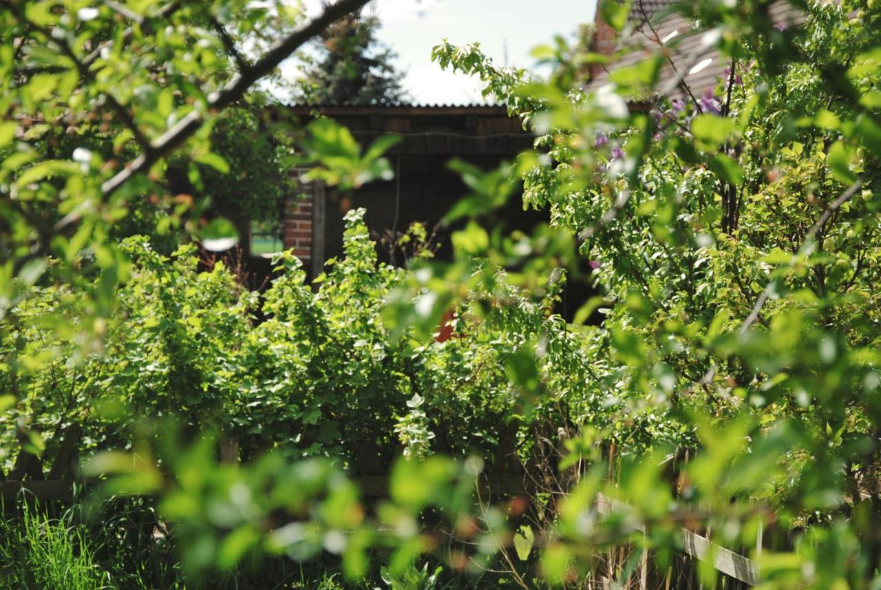 Ferienhaus Erna Doberlug-Kirchhain エクステリア 写真